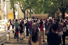 Citizens and tourists at the Vjosa Day